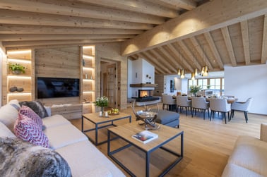 Brunnenhof Penthouse - Living Area