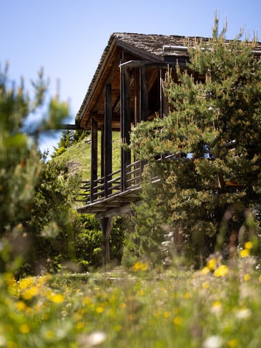 Chalet Bibi - Chalet exterior