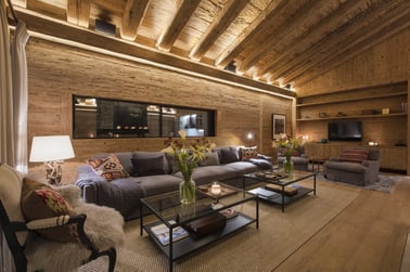 Chalet Mckinley - Living Area