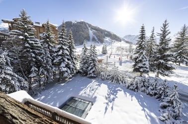 Chalet Névé - Views