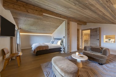 Chalet Scandinavia - Living Area