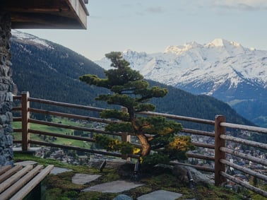 Chalet Vallon D’Arbi