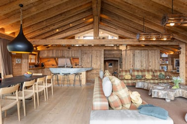 Alex Penthouse - Living Area