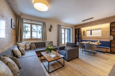 Brunnenhof 1 - Living Area