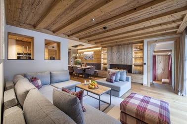 Brunnenhof 10 - Living Area