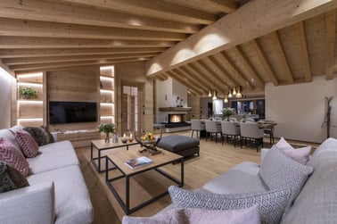 Brunnenhof Penthouse - Living Area