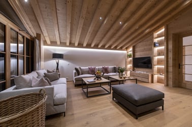 Brunnenhof Penthouse - Living Area