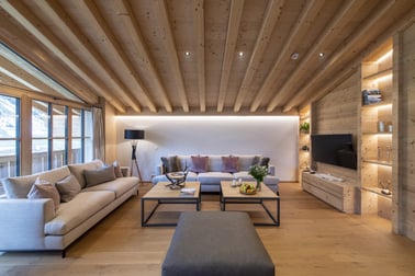 Brunnenhof Penthouse - Living Area