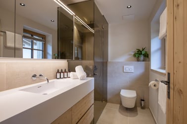 Brunnenhof Penthouse - Bathrooms