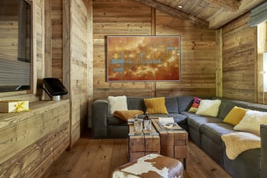 Chalet Alpha - TV room