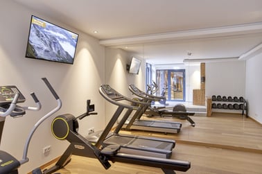 Chalet Alpha - Gym