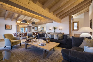 Chalet Delormes - Living Area