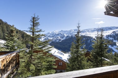 Chalet Genepi - Views