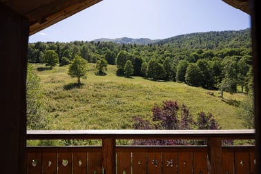 Chalet L’Orchidée