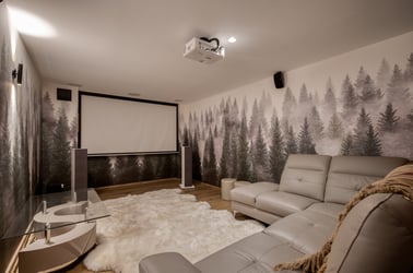 Chalet Olympique - Cinema Room
