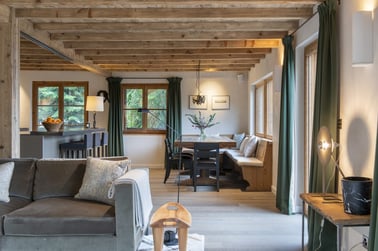 Chalet Scandinavia - Living Area