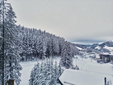 Lord of Snow - Views