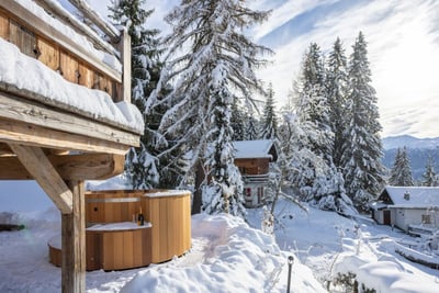 Les Roches Estate - Hot tub